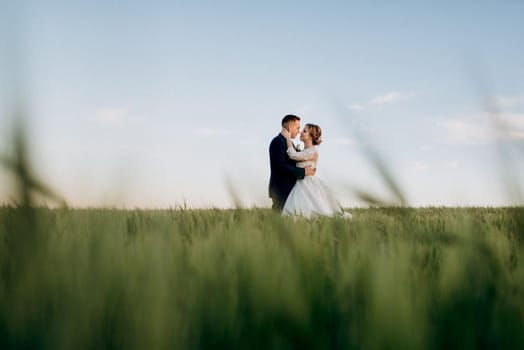 the groom and the bride walk along the wheat green field on a bright day