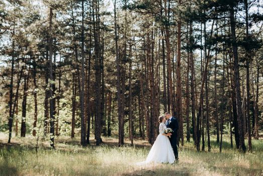 the bride and groom are walking in a pine forest on a bright day