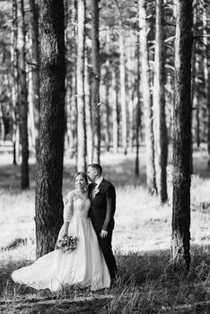 the bride and groom are walking in a pine forest on a bright day