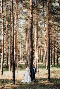 the bride and groom are walking in a pine forest on a bright day