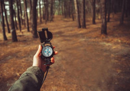 Hiker woman searching direction with a compass in the forest. View of hands. Point of view shot. Space for text in right left of image