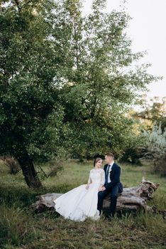 the groom and the bride are walking in the forest near a narrow river on a bright day