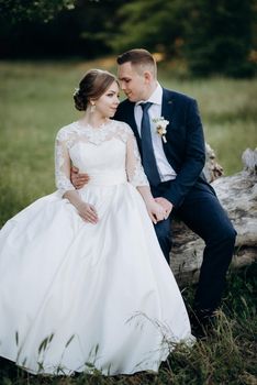 the groom and the bride are walking in the forest near a narrow river on a bright day