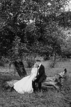 the groom and the bride are walking in the forest near a narrow river on a bright day