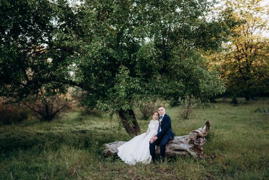 the groom and the bride are walking in the forest near a narrow river on a bright day