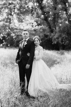 the groom and the bride are walking in the forest near a narrow river on a bright day