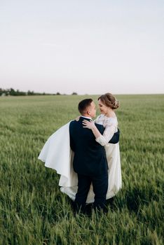 the groom and the bride walk along the wheat green field on a bright day