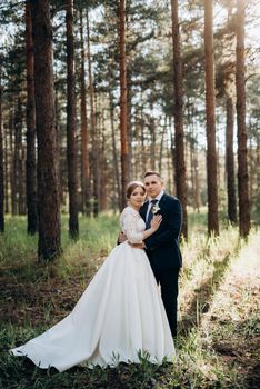 the bride and groom are walking in a pine forest on a bright day