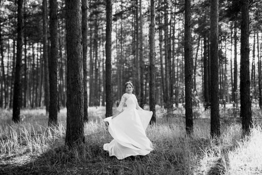 the bride walking in a pine forest on a bright day