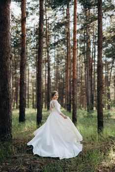 the bride walking in a pine forest on a bright day