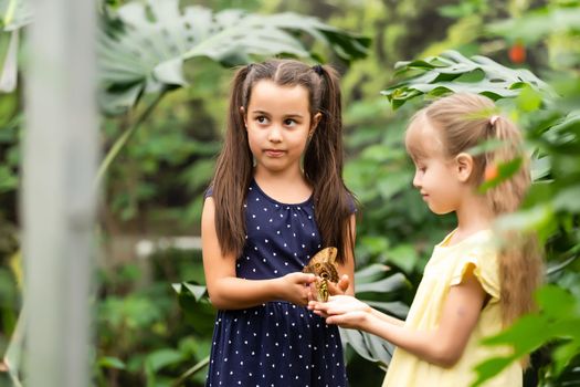 Two little sisters holding a butterfly in their hands. Children exploring nature. Family leisure with kids at summer.