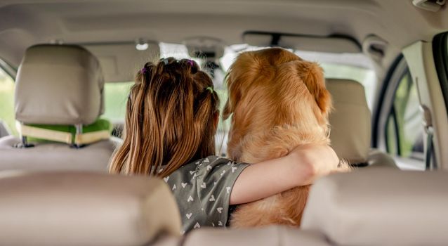 Preteen girl hugging golden retriever dog and sitting in the car inside. Child kid with purebred doggy pet in the vehicle from the back