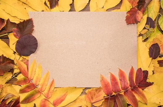 Hello October. Autumn composition top view on autumn bright colorful leaves with paper sheet and place for text