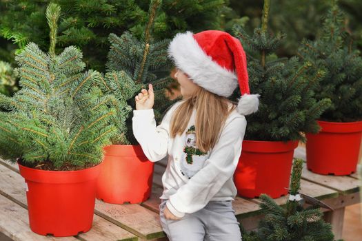 Small girl in a red cap chooses a Christmas tree in the market.
