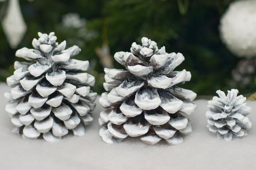 Cones in the snow on the background of a Christmas tree