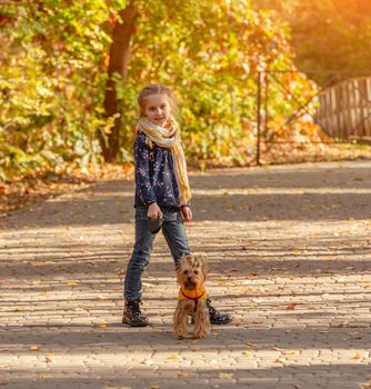 Cute little girl walking in autumn park with yorkshire terrier