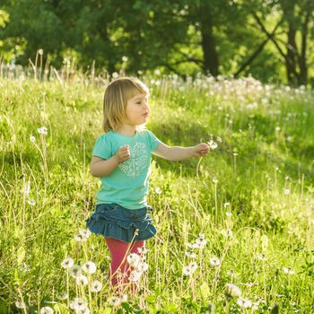 Happy little girl on the field with dandelions