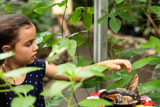 cute little girl holding living beautiful butterfly on her hand