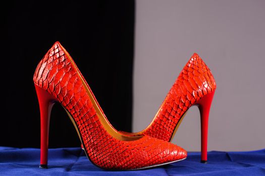 red stiletto heels of snakeskin on blue background
