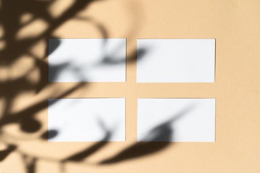 Blank white businesscard on beige background with creative floral shadow, copy space