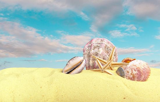 Sea shells with sand as background. Summer beach