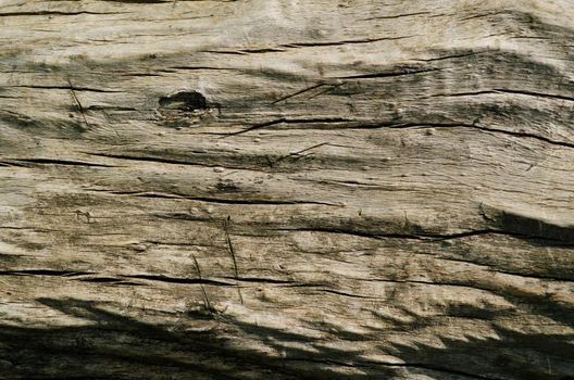 Natural old vintage wood texture in loft style - Image