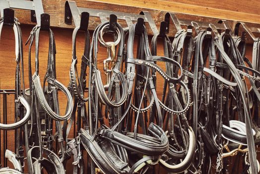 bridles and harnesses for horses hanging on the wall in the stable