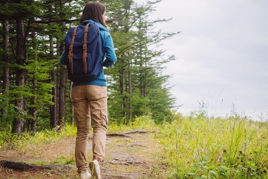 Hiker young woman with backpack walking on path in summer forest, rear view. Space for text in right part of image