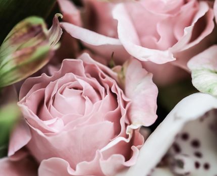 Botanical concept, wedding invitation card - Soft focus, abstract floral background, pink rose flower. Macro flowers backdrop for holiday brand design