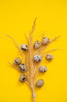 Easter background, quail eggs on a yellow background, decorated with natural botanical elements, flat lay, view from above