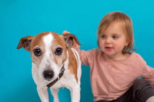 Blurred little child petting cute small dog while sitting against bright blue background