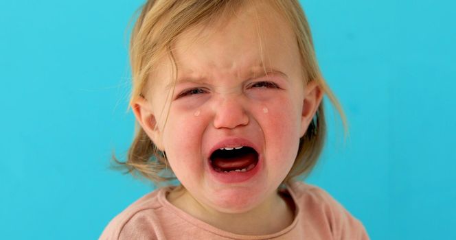 One-year-old baby girl cries blue background. Girl has milk teeth growing