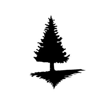 The black silhouette of a pine tree on an isolated background. illustration .