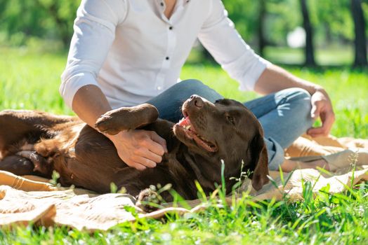 The dog lies in the park next to its owner. Spending time with friends