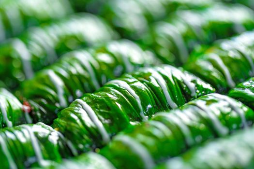 Green colored Turkish dessert baklava placed in rows, for background
