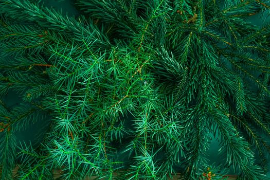 Christmas green background. Pine branches, needles and Christmas trees. View from above. Christmas nature background. December mood concept. Copy space.