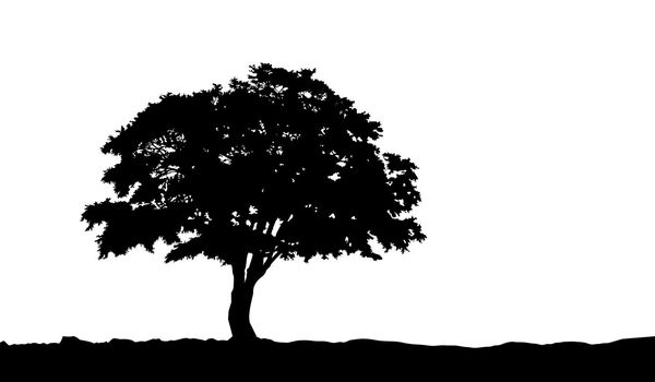 tree on the hill silhouette on an isolated background. illustration .