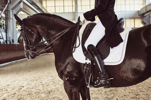 woman jockey with his horse in uniform for Dressage