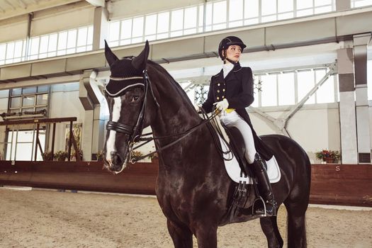 woman jockey with his horse in uniform for Dressage