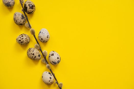 Easter background, quail eggs on a yellow background, decorated with natural botanical elements, flat lay, view from above