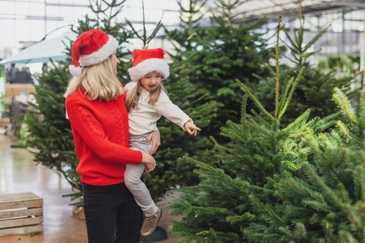 Mother and daughter choose a Christmas tree at a market.