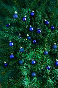Christmas green background. Pine branches, needles and Christmas trees with blue balls. View from above. Round frame with place for text. Christmas nature background. December mood concept.