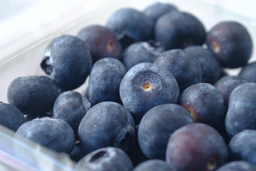 Close up of fresh blue berry in a plastic container .