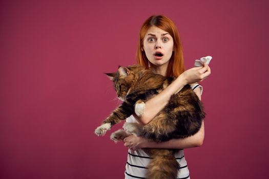 woman holding fluffy cat in her arms pet friendship pink background. High quality photo