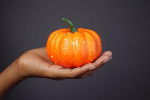 hand hold a small pumpkin against gray background .