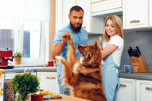 Happy smiling couple cooking food at kitchen with their dog