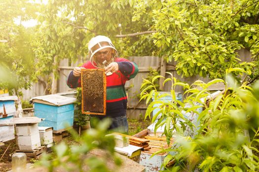 Beekeeper is working with bees and beehives on the apiary. Beekeeper on apiary.