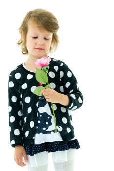 Beautiful little girl with a flower in her hands. The concept of beauty and fashion, happy childhood. Isolated on white background.