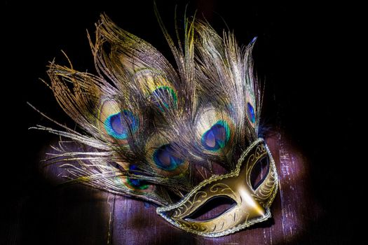 carnival mask with peacock feathers. light brush.