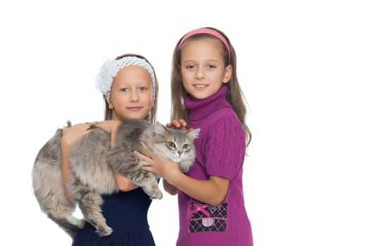 Funny sister holding a big, fluffy Siberian cat - Isolated on white background